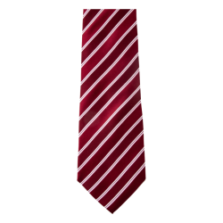 Krawat - AP1228 (ANDA#08)