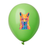 Balon pastelowe kolory - AP718093 (ANDA#74)