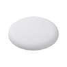 Frisbee - AP809503 (ANDA#01)