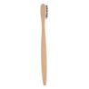 Szoteczka bambusowa - AP809567 (ANDA#10)