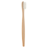 Szoteczka bambusowa - AP809567 (ANDA#01)