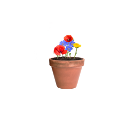 Kapsułka z nasionami kwiatów - AP722147 (gadzety reklamowe)