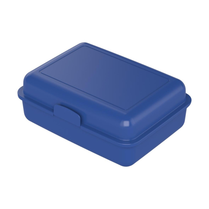 Lunch box "School box" large, standard-blue PP