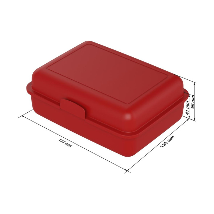 Lunch box "School box" large, standard-blue PP