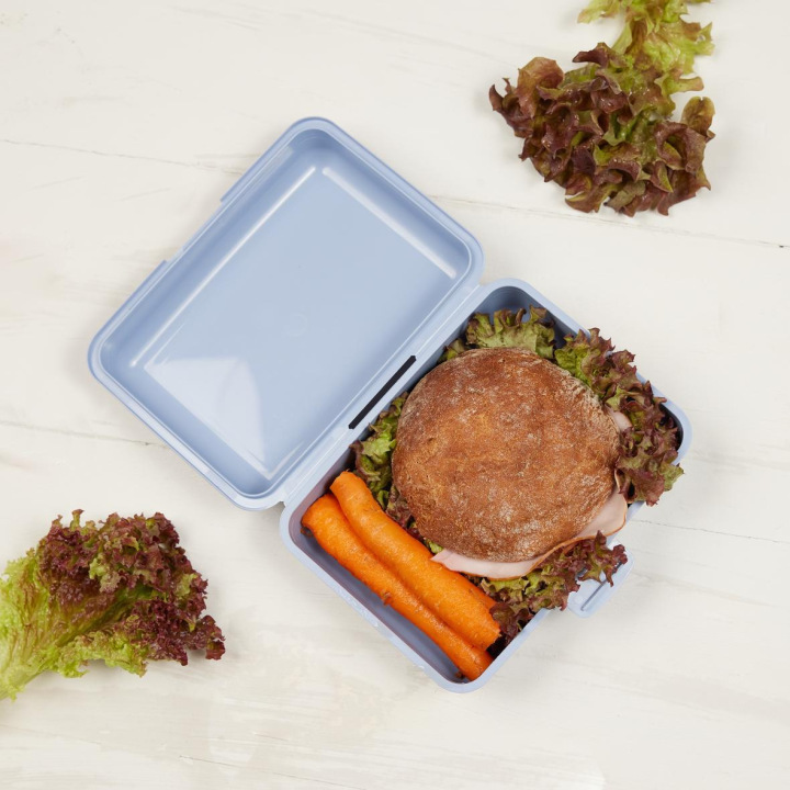 Lunch box "School box" large, standard-blue PP