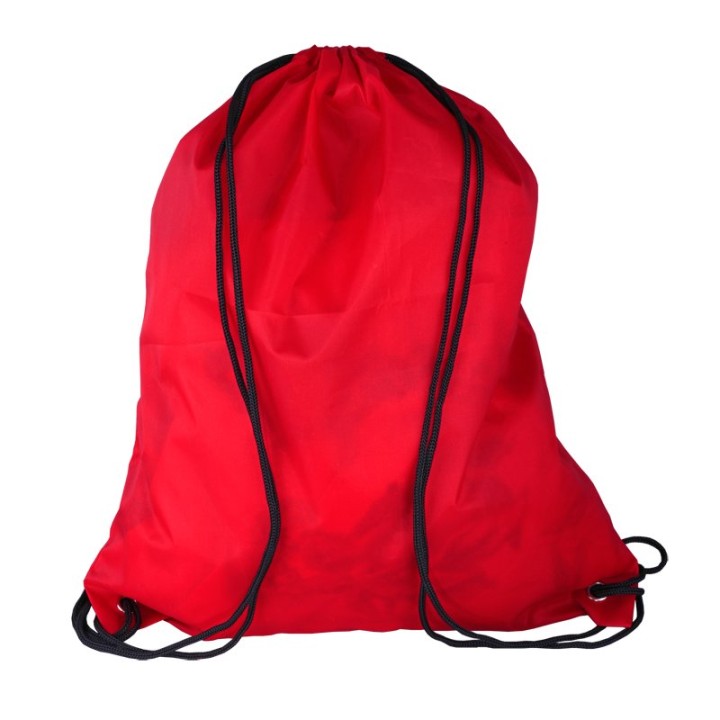 Solidny plecak wykonany z poliestru 210 N - R08695
