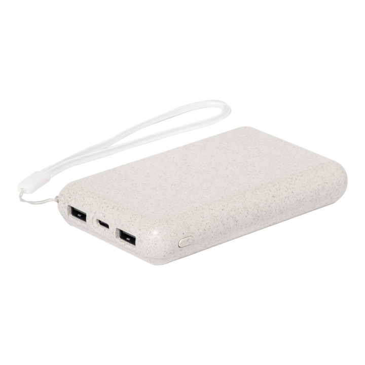 Power bank - AP733392 (ANDA#00)