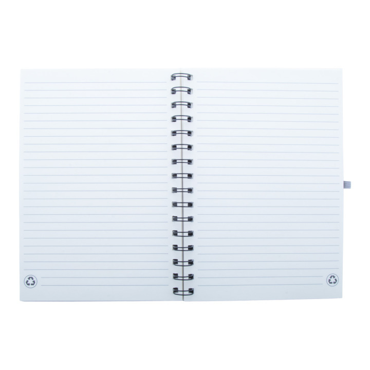 Notes RPET - AP800769 (ANDA#77)