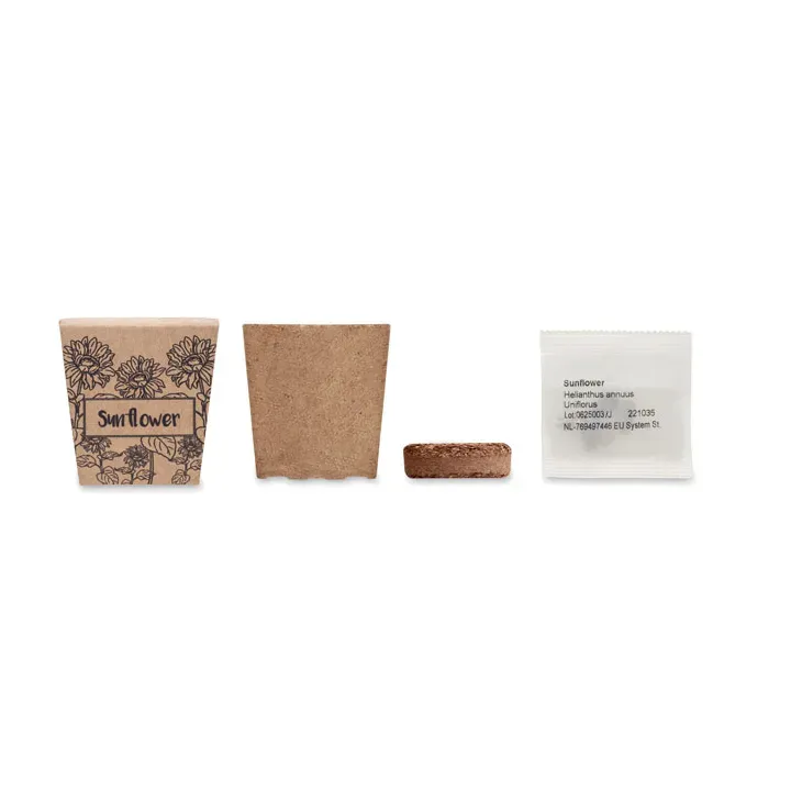 Sunflower growing kit - MO2411 (MOCN#13)