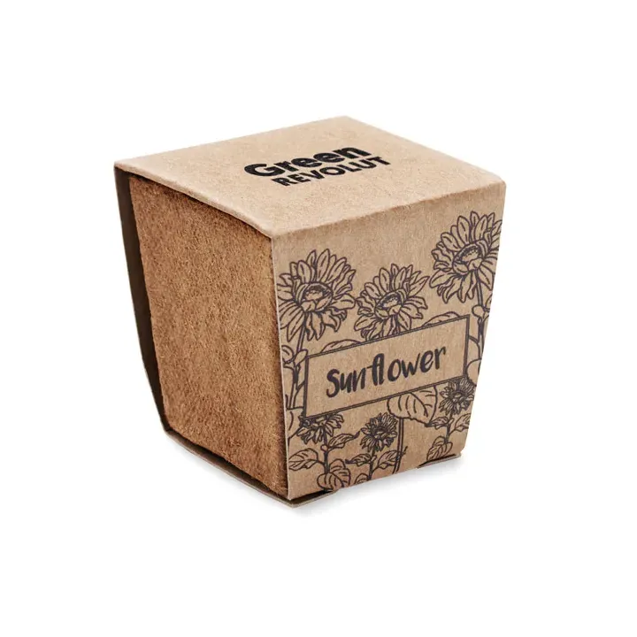 Sunflower growing kit - MO2411 (MOCN#13)
