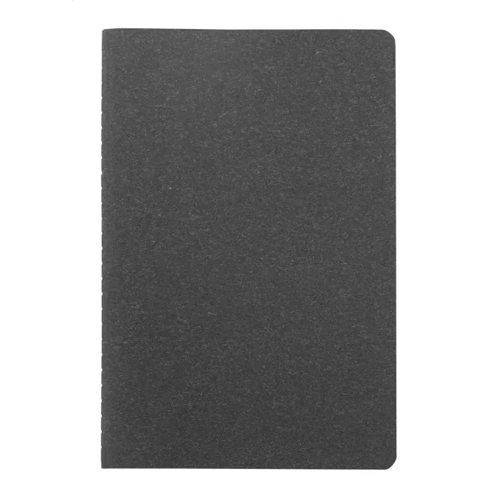 Notes - AP808208 (ANDA#10)