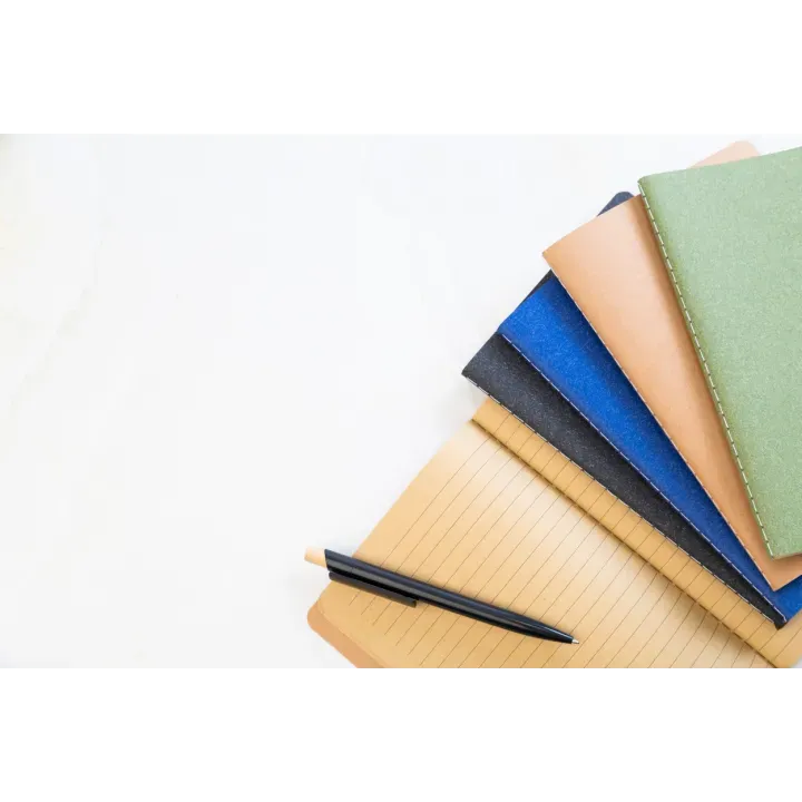 Notes - AP808208 (ANDA#10)