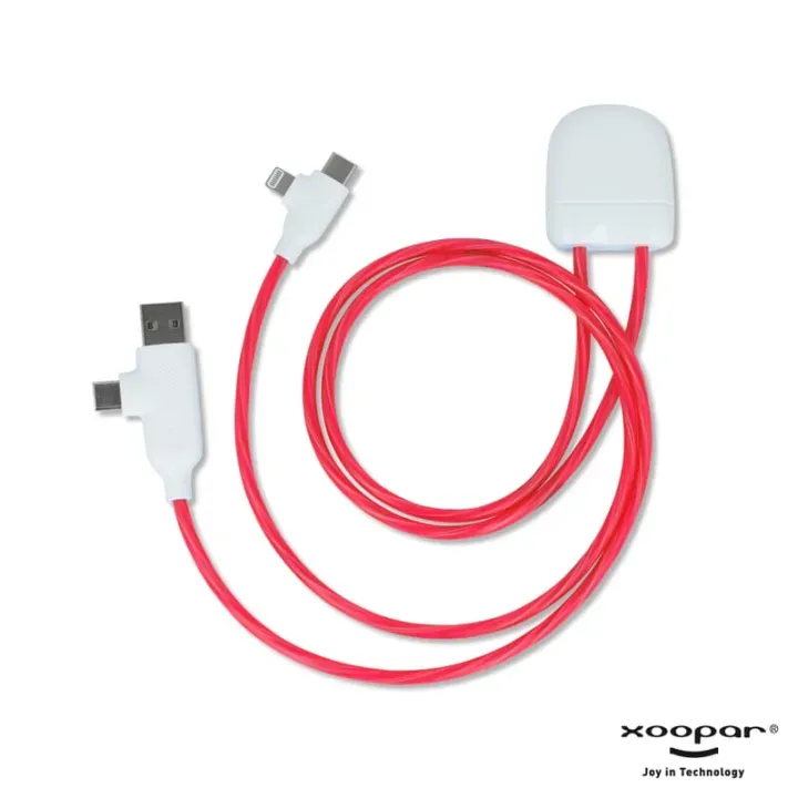 Charging cable - LT41019 (N0021)
