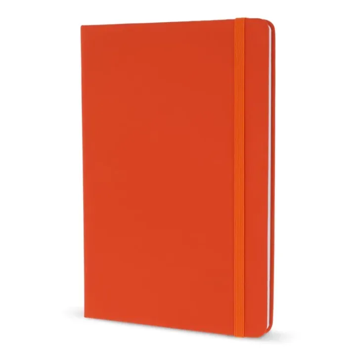 A5 PU plastic notebook with FSC sheets - LT92066 (N0026)