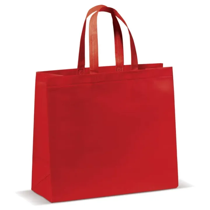NON-WOVEN BAG LARGE 105G/M² - LT95111 (N0021)