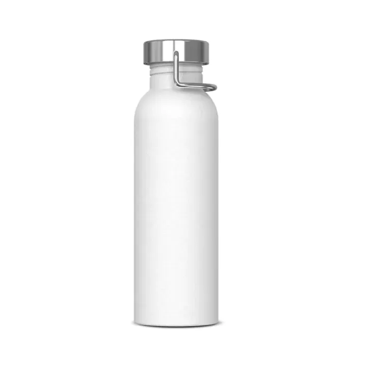 Stainless steel bottle 750 ML - LT98865 (N0001)