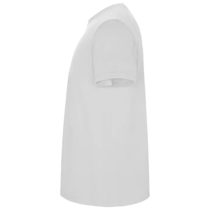 Koszulka męska z krótkim rękawem - PC R66815