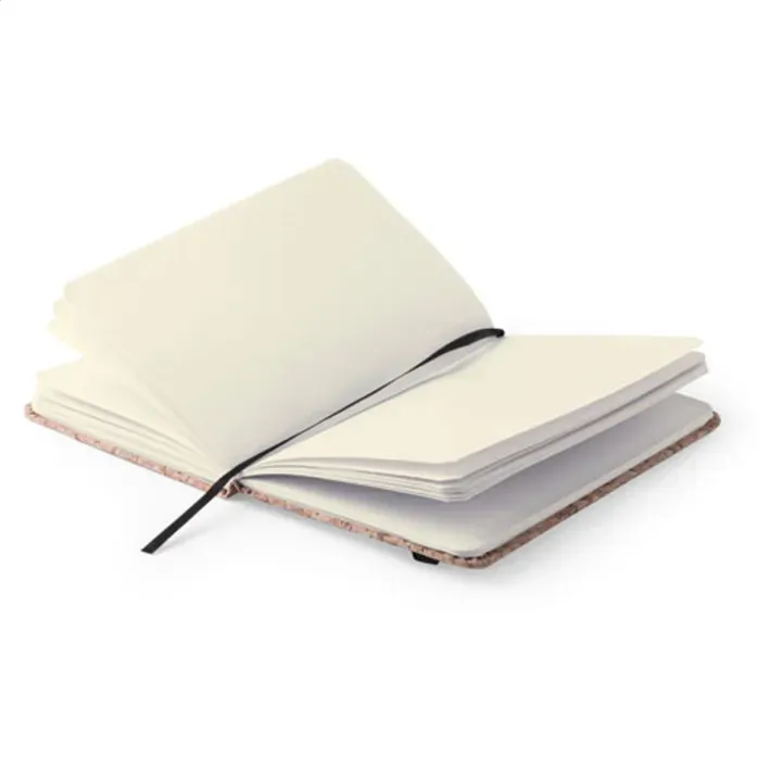 Notes - AP741980 (ANDA#23)