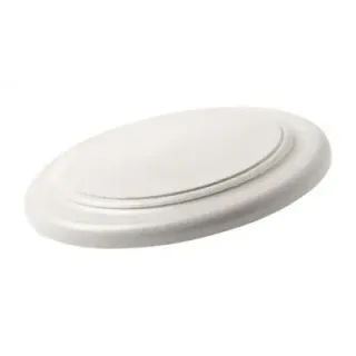 Frisbee - AP721474 (ANDA#23)