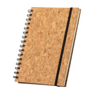 Notes - AP721717 (ANDA#23)