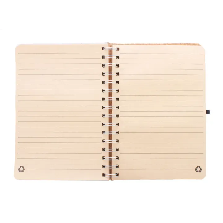 Notes - AP800516 (ANDA#23)
