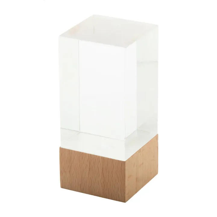 Trofeum  - AP808550 (ANDA#23)