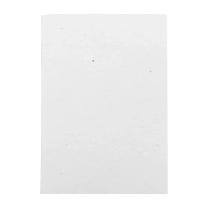 Niestandardowy notatnik z papieru nasiennego - AP716879 (ANDA#01)