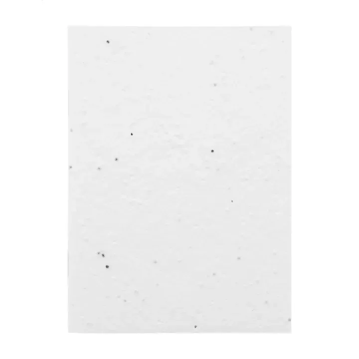 Niestandardowy notatnik z papieru nasiennego - AP716880 (ANDA#01)