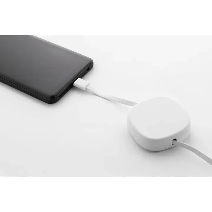Kabel ładujący USB-C 60 W RABS - AP864117 (ANDA#01)
