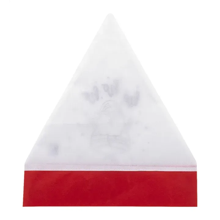 Czapka mikołaja do kolorowania - AP800037 (ANDA#01)