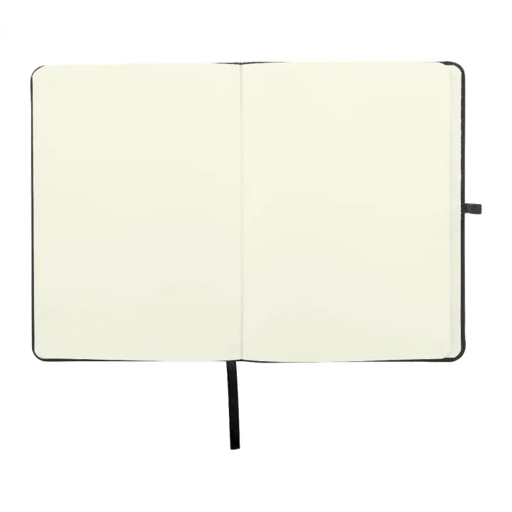 Notes RPET - AP800079 (ANDA#10)
