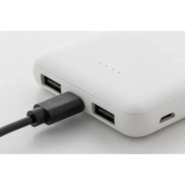 Powerbank RABS - AP864115 (ANDA#01)