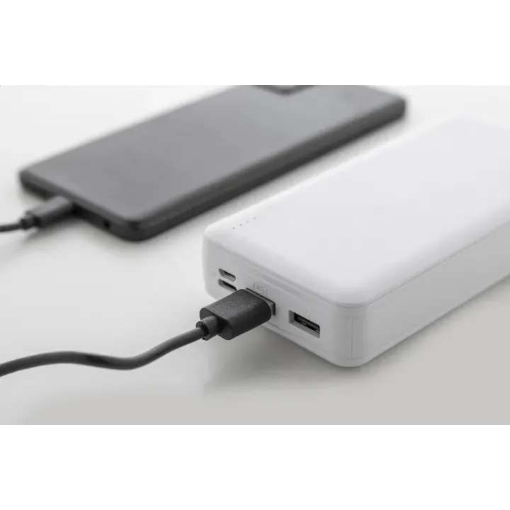 Powerbank RABS - AP864113 (ANDA#01)