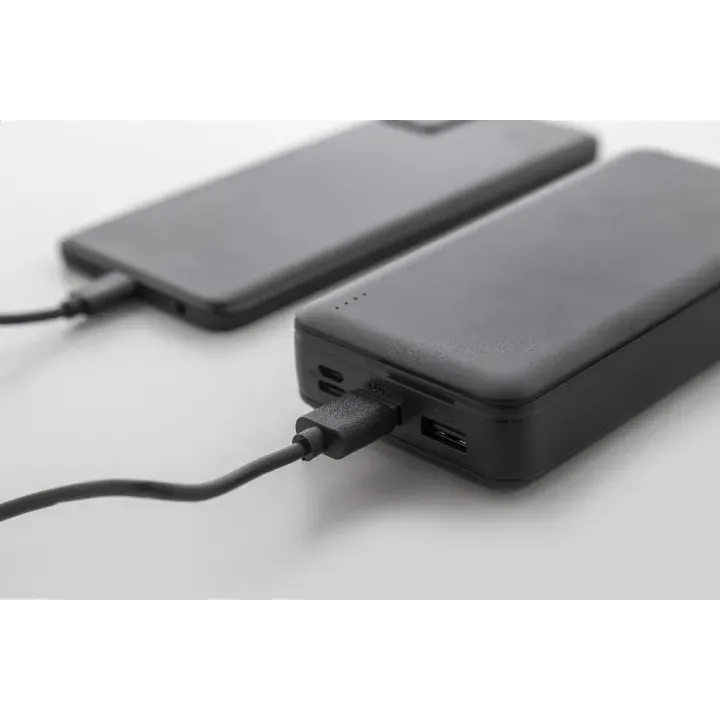 Powerbank RABS - AP864113 (ANDA#10)