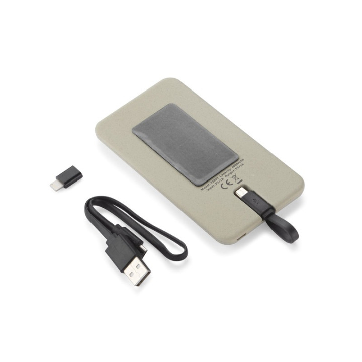 Power bank 4000 mAh - 45093
