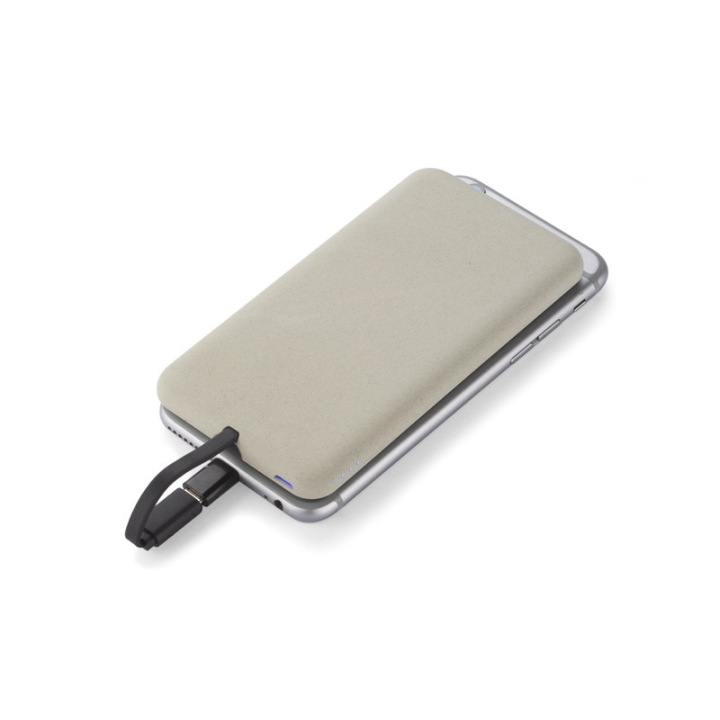 Power bank 4000 mAh - 45093