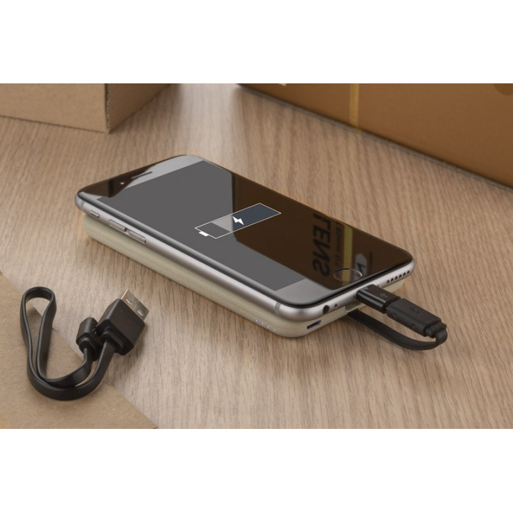 Power bank 4000 mAh - 45093