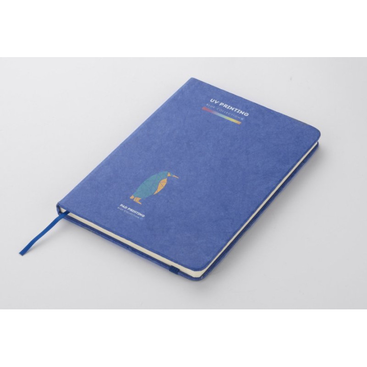 Notes- 17859