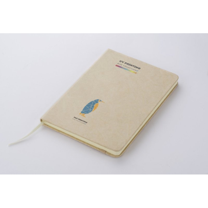 Notes- 17859