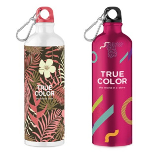 YC9350 - Pantone matched aluminium bottle with carabiner