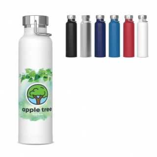 TERMICZNA BUTELKA SKYLER, 650ML - LT98863