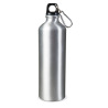 Jednościenna aluminiowa butelka z karabińczykiem, 750ml - LT98746